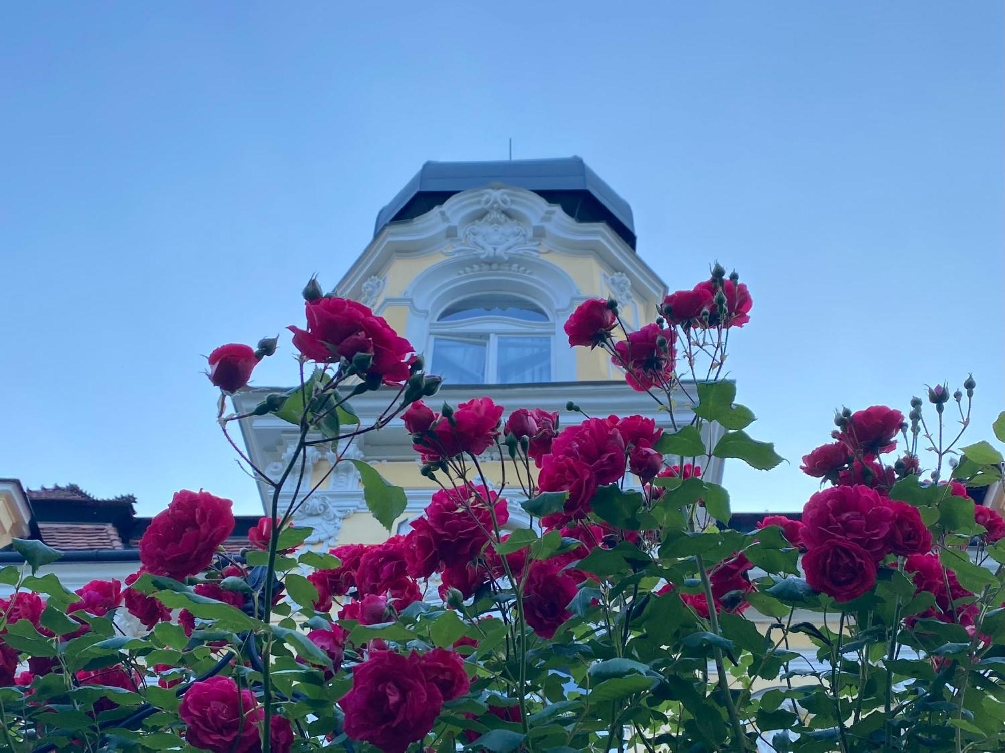 Apartament Salve Cieplice Zewnętrze zdjęcie