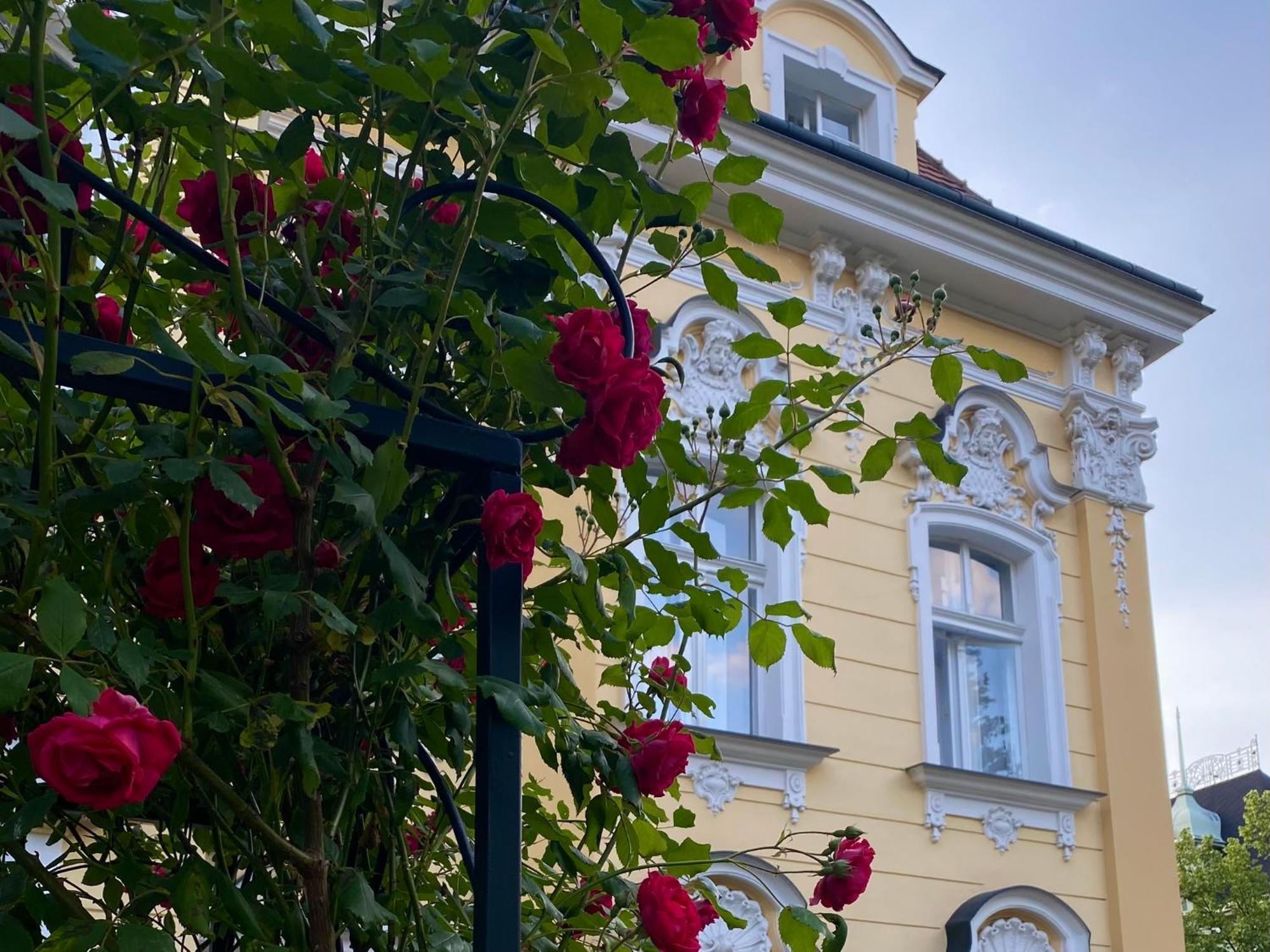 Apartament Salve Cieplice Zewnętrze zdjęcie